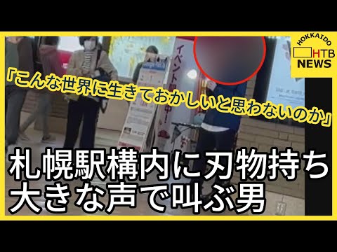 【悲報】平和ボケ日本人さん、駅で刃物もって叫んでいる男がいるのに素通りしてしまう…　（動画あり）