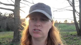 Welcome Luna and Cumulus! – Our Babydoll Sheep | A Feist Family Farm Vlog