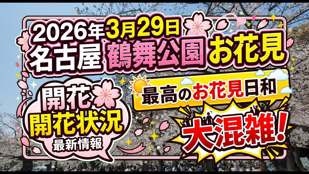 すごい人！最高のお花見日和でした名古屋 鶴舞公園の桜の開花状況【2026年3月29日】