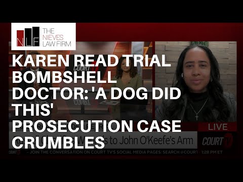 Karen Read Retrial: Dog Bite Expert DESTROYS Prosecution’s Theory | Attorney Analysis