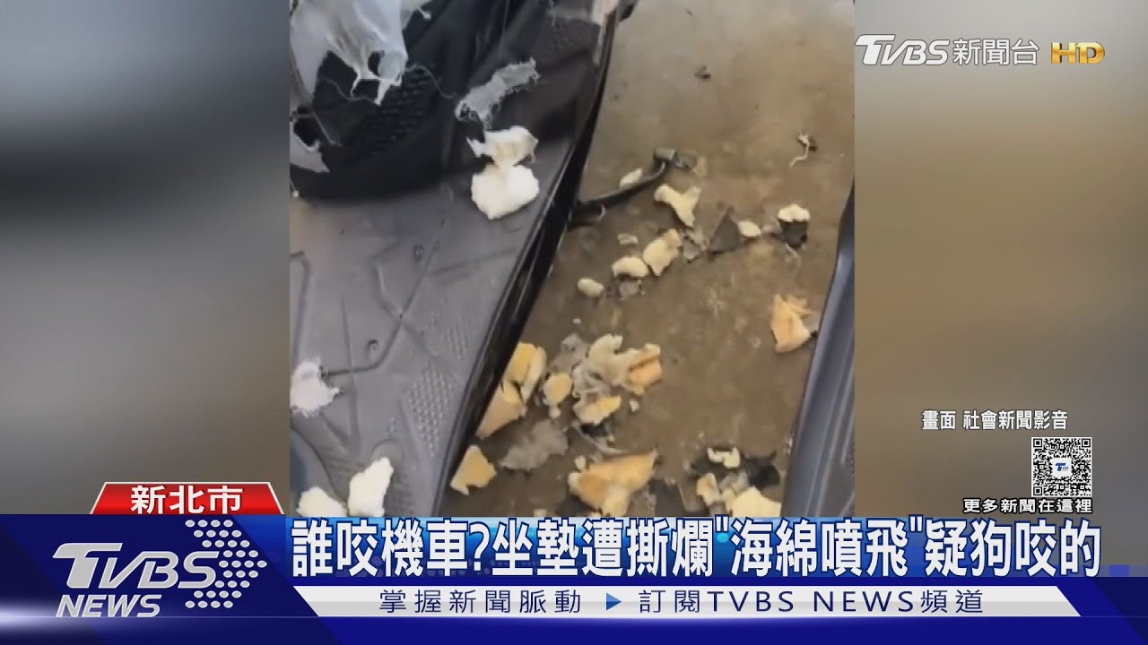 誰咬機車？坐墊遭撕爛「海綿噴飛」疑狗咬的