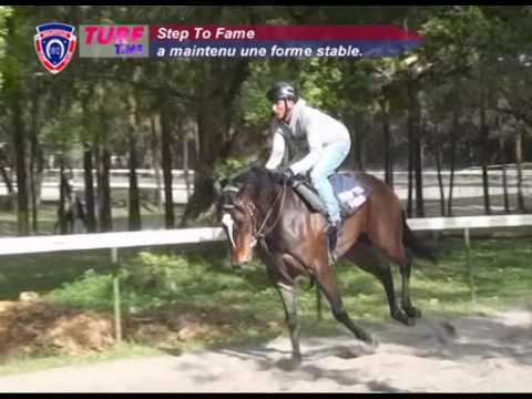 FLOREAL NEWS - RACE MEETING 34 (18.11.2016)