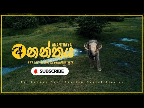 අනන්තය | Ananthaya (Infinity) – Sri Lanka Travel Vlog Guidebook | SL Travel Vlog