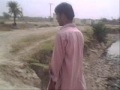 Sindhi Songs