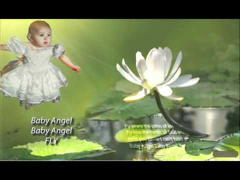 Baby Angel Fly - Jami Grooms