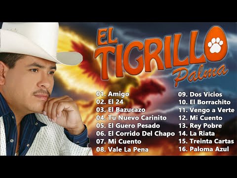 El Tigrillo Palma - Corridos Pesados Mix (30 Exitos)