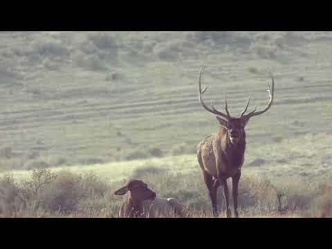 Colorado GMU Unit 72 Hunting Information