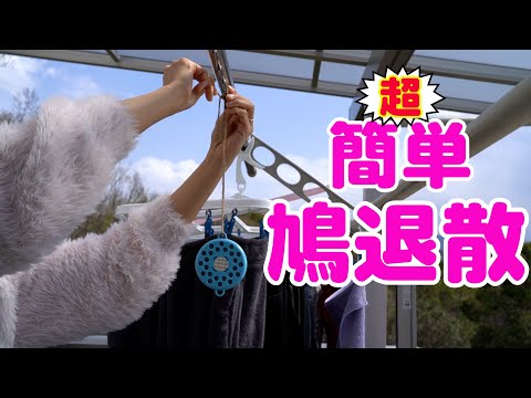 ハトを永久に遠ざけるにはどうすればいいですか？本当に役立つヒントとコツ  庭園