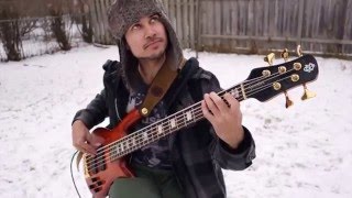 Protest The Hero - Tilting Against Windmills (Bass Cover)