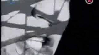 thåström - alla har fel