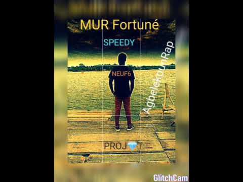 SPEEDY NEUF6 MUR Fortuné