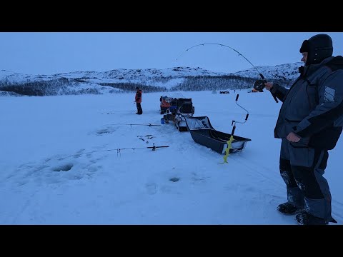 Фото ЗИМНЯЯ РЫБАЛКА НА БАРЕНЦЕВОМ МОРЕ / WINTER FISHING ON THE BARENTS SEA