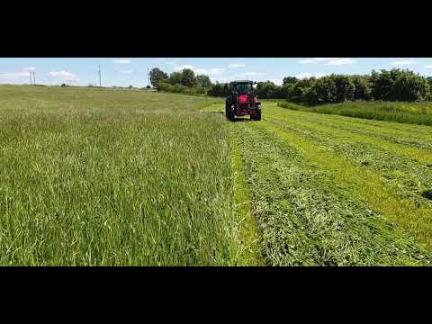 MF 5609 Krone AM 243 S Slåtter