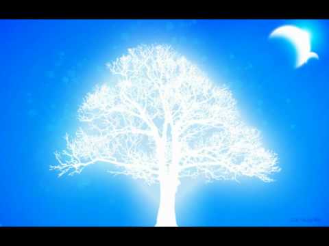 Christian Zechner - Silent Prayers (Original Mix)