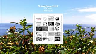 Steve Hauschildt  "Syncope"  2018