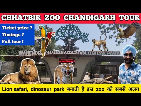 Chhatbir zoo in chandigarh - chattbir zoo chandigarh zoo ticket price 2023 | Chandigarh chidiya ghar