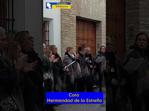 Villancico tradicional en las calles de Córdoba ✨ #musica #tradicion #españa