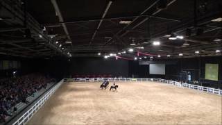 2016 Equidays ANZFHS Friesian Quadrille