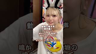 収集つきませんでしたw #推しは推せる時に推せ #推し推せ #コンカフェ #ミナミコンカフェ #メイド #アイドル