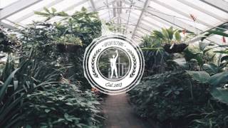 Toro y Moi - Rose Quartz