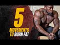 5 Exercises to Burn Body Fat | Full Workout!