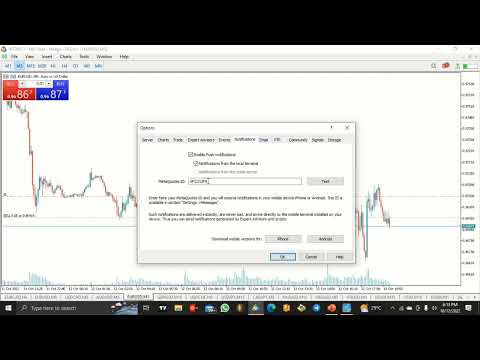 Video Wizard Poverty Sanitizer