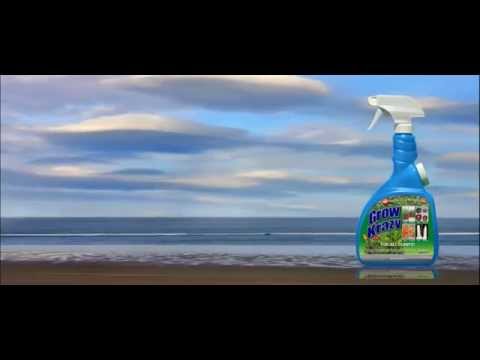 PLANT NUTRITION FROM THE OCEAN