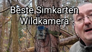 Die neue Wolfang WT07 - Eine Simkartenkamera mit sehr guter Bildqualität