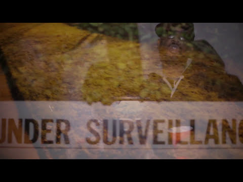 Don Stripes ft UA - Flaming @DonStripesUA @Unusual_Artists  Visuals By @Official_Paso