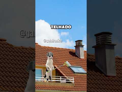 PEPPA CAT IS IMPOSSIBLE