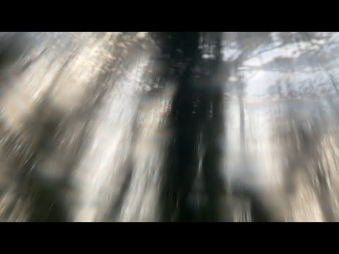 Video thumbnail for Dream