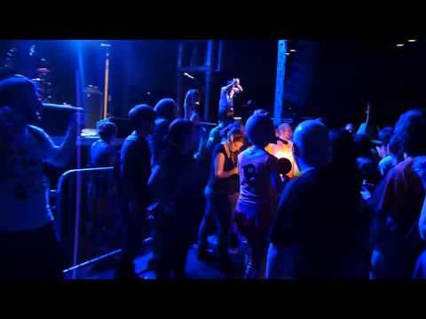 Nerdapalooza 2013 - Peelander-Z 1