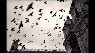 On Thorns I Lay   In Heaven's Island