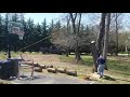 How To Drop A Tree Exactly Where U Want It Thx To Randy Phipps