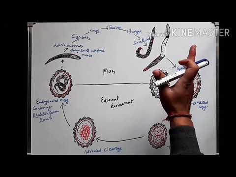 Trichinosis rf