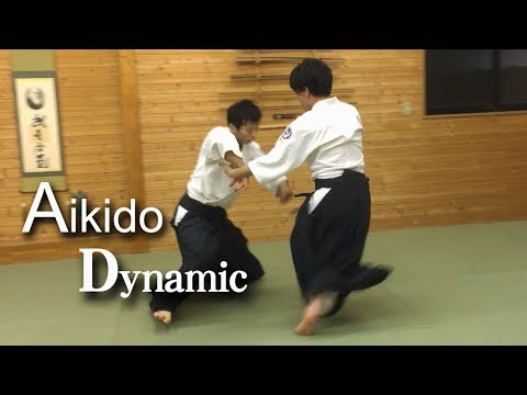 Aikido harmony - dynamic and technical