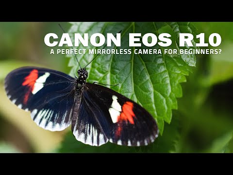 Canon EOS R10 - A Perfect Mirrorless Camera For Beginners?