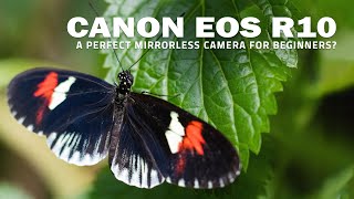 Video thumbnail for Canon EOS R10 - A Perfect Mirrorless Camera For Beginners? by Wilkinson Cameras
