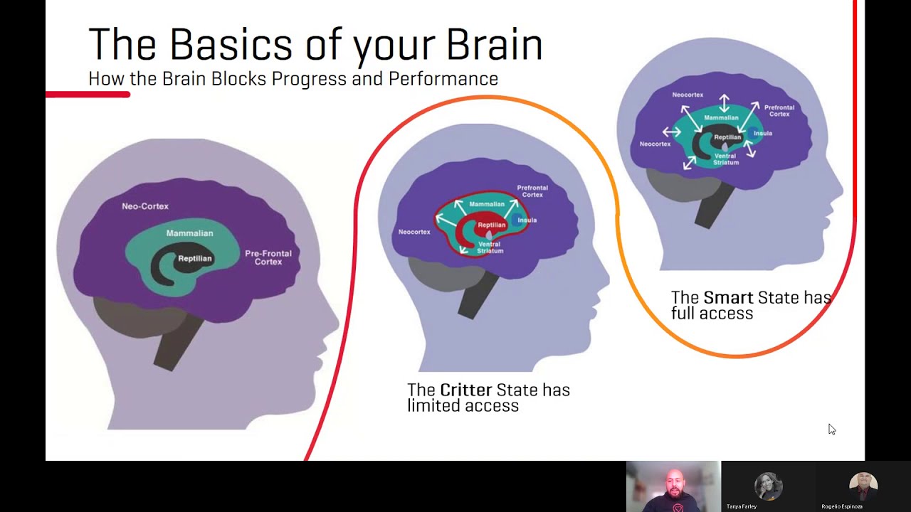 The Neuroscience of Leadership Part 1. Emotional Resilience Toolkit