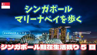 【シンガポール駐在生活残り5日】マリーナベイを歩く「シンガポールで2度目に住んだ街」