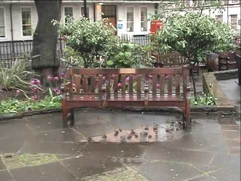 Squire visit Soho Square (Kirsty MacColl bench)