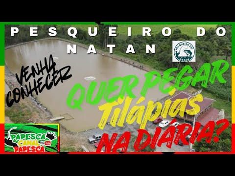 Quer PEGAR TILÁPIAS na DIÁRIA? Venha pro PESQUEIRO DO NATAN Imbituva PR Frito garantido 