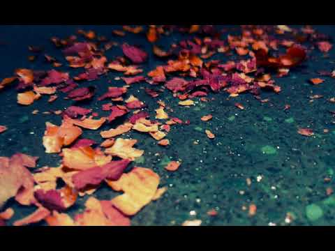 Acidict- It's All About You ft Siyanda Nkosi AMN