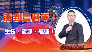 漲到農曆年！ 生技、能源、航運！ (圖)
