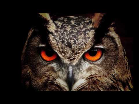 OIHAN X JL - ESTAMOS ACTIVOS