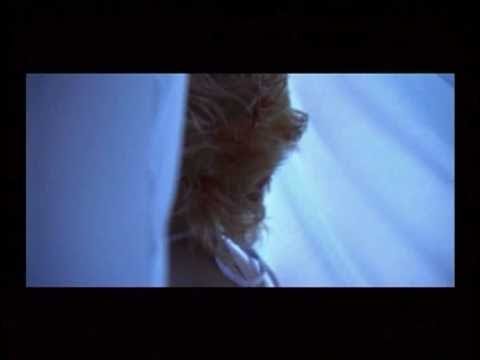 Putokazi - Sve sto jesi