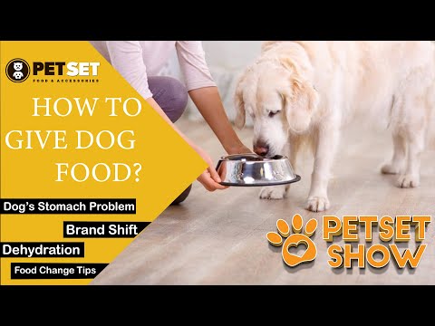 PetSet Show || How to Give Dog Food || How to Settle a Dog's Stomach || Ammad Cheema