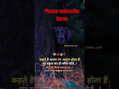 #wedding #viral doggy video##trending