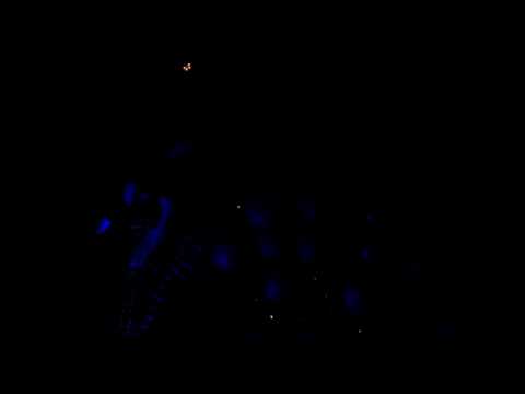 Marc Almond with Jethro Tulls Ian Anderson at the RAH 30/6/2013 AUDIO ONLY