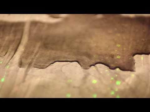 NOMADRONIN - SEE THE JUNGLE WITHIN